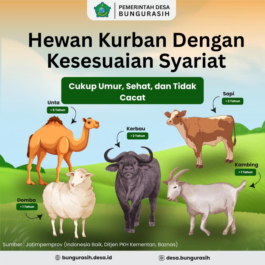 Pentingnya Memilih Hewan Kurban yang Sehat dan Sesuai Syariat Islam untuk Menyambut Idul Adha 1446 H